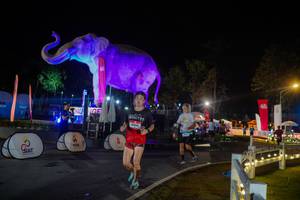 BIB: 
                            <button type="button" onclick="openModal(26552384)" class="btn btn-primary btn-sm float-right btn-popup" data-toggle="modal" data-target=".modal-high-quality">
                        <i class="fas fa-shopping-cart"></i> Add to Cart
                    </button>
                                            <button type="button" onclick="isThisMe(26552384, true)" class="btn btn-success btn-sm float-right btn-popup btn-isme hidden" data-toggle="tooltip" data-placement="bottom" title="นี่คือรูปของคุณใช่ไหม คลิกที่นี่เพื่อเอาเข้าอัลบั้ม">
                        <i class="fas fa-plus"></i> Add to album
                    </button>
                    <button type="button" onclick="isThisMe(26552384, false)" class="btn btn-warning btn-sm float-right btn-popup btn-isnotme hidden">
                        <i class="fas fa-ban"></i> Remove from album
                    </button>